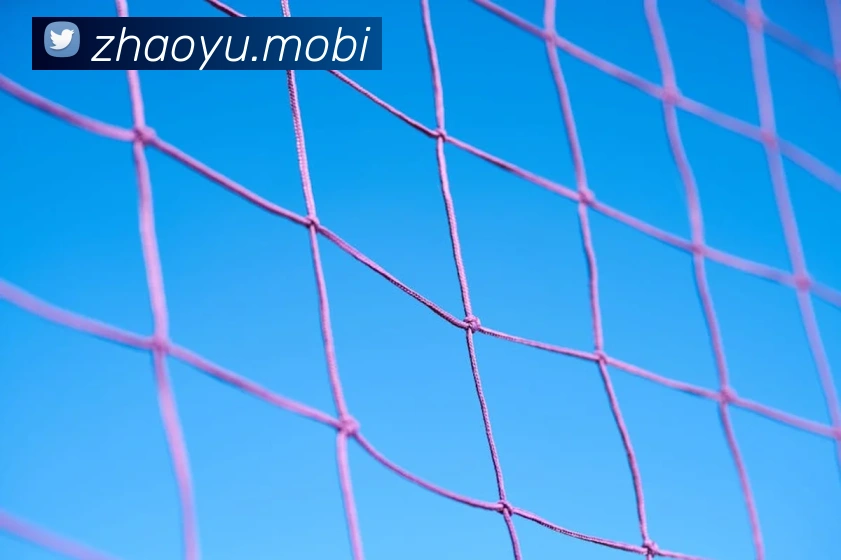 开云手机在线登录官网平台生态图