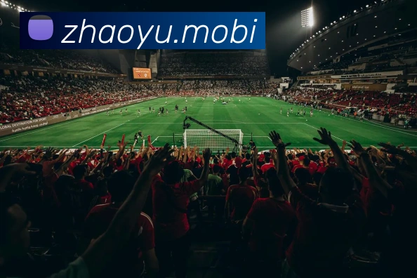 开云手机在线登录官网APP 封面图